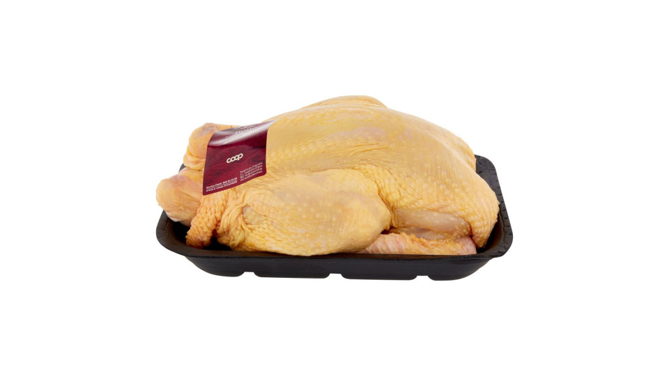 Pollo eviscerato senza frattaglie x