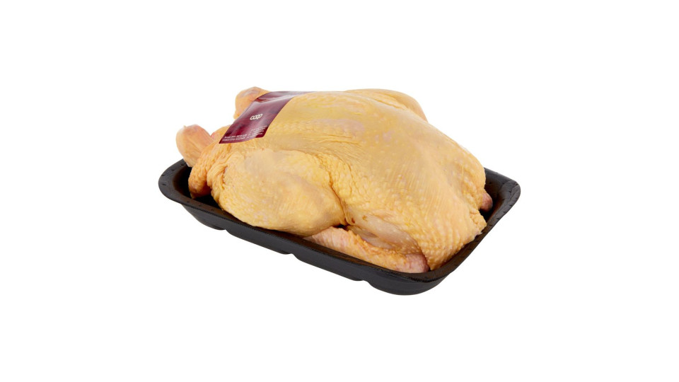 Pollo eviscerato senza frattaglie x