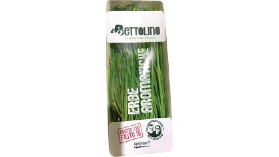 Erba cipollina