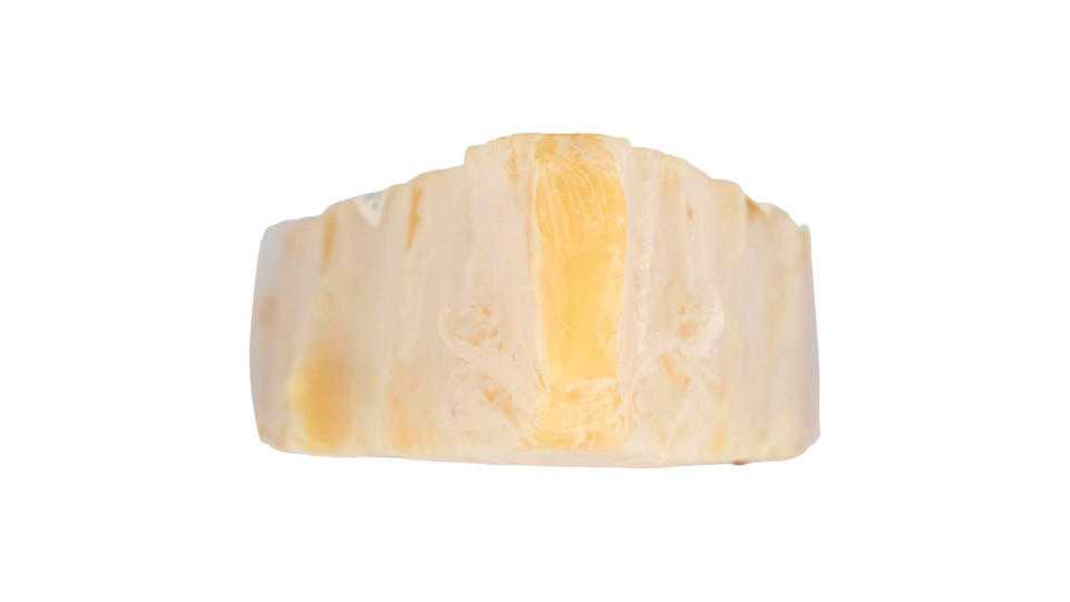 Parmigiano Reggiano Dop 24 Mesi