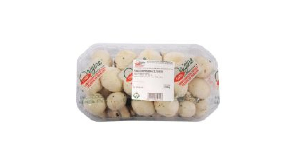 Funghi Champignon