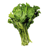 CIME DI RAPA