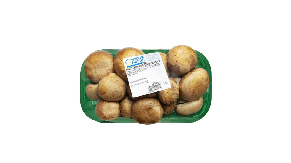 Champignon Crema