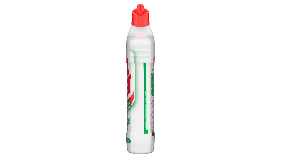 WC Net Candeggina gel Mountain Fresh 700 ml