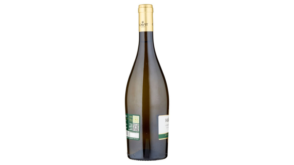 Cavit Trento Mastri Vernacoli, Müller Thurgau Vigneti delle Dolomiti frizzante 