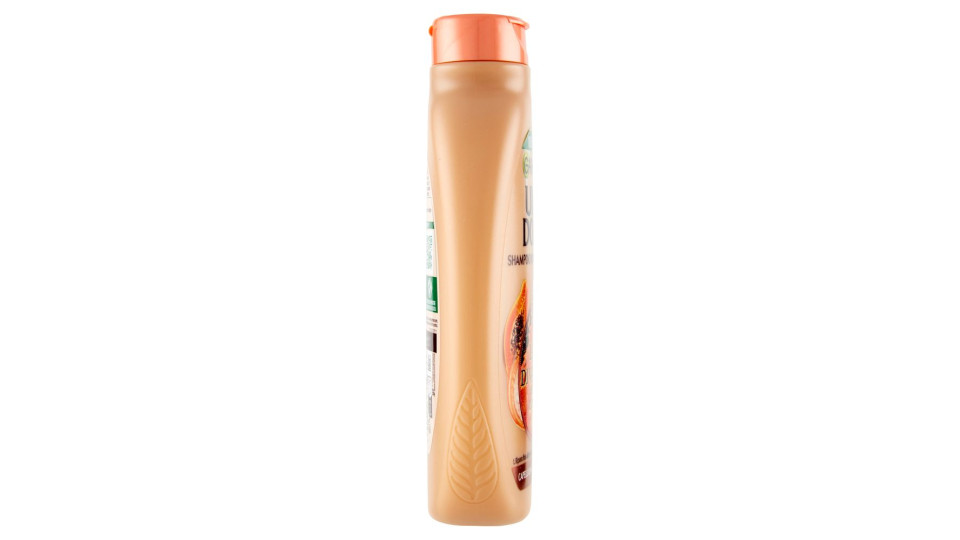 Garnier Ultra Dolce al Latte di Vaniglia e Polpa di Papaya Shampoo 2in1 per Capelli Lunghi
