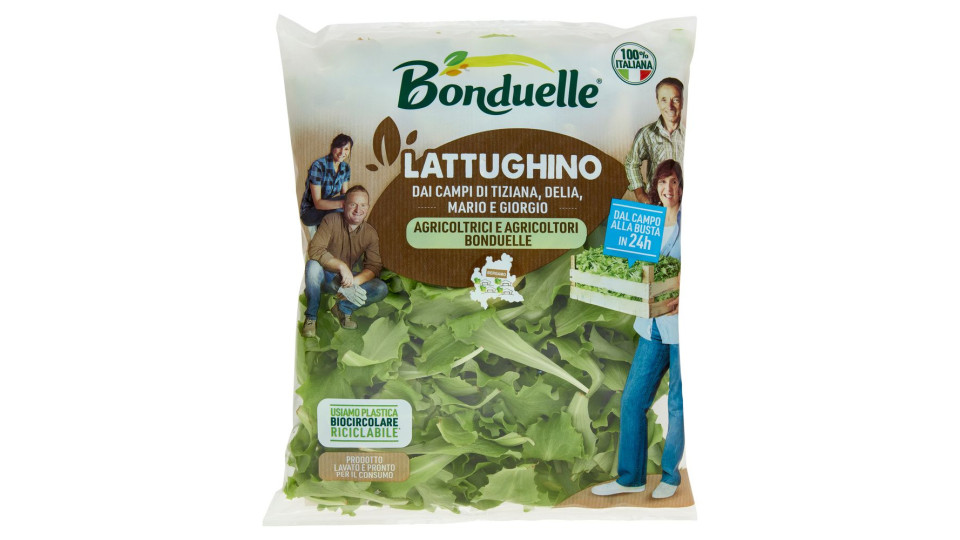 Bonduelle Lattughino