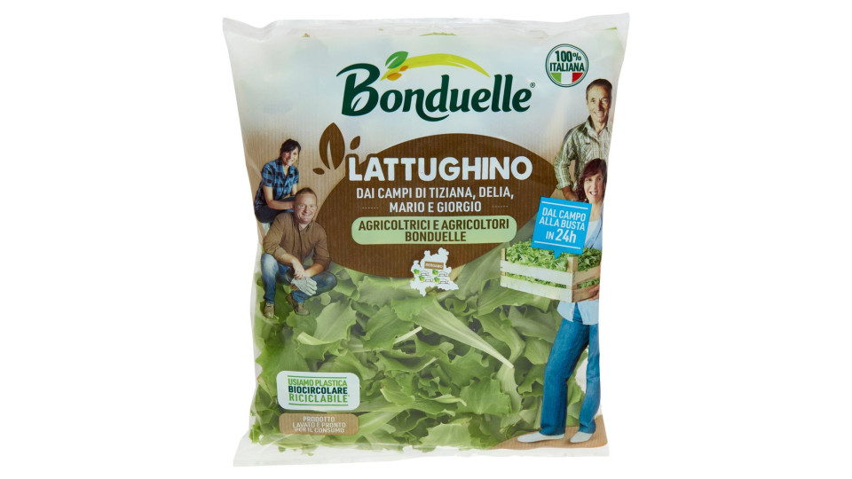 Bonduelle Lattughino