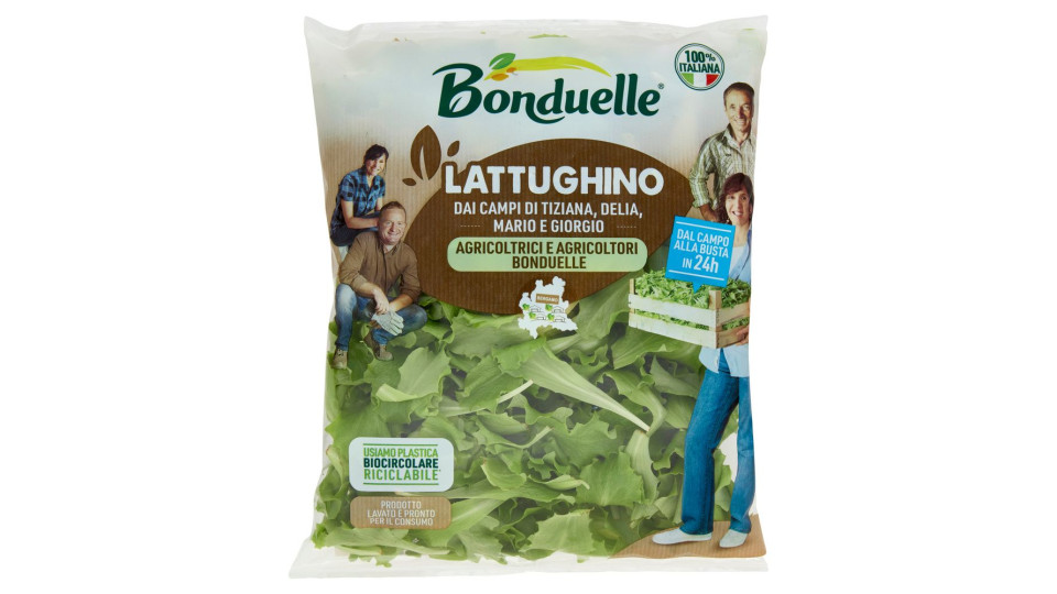 Bonduelle Lattughino