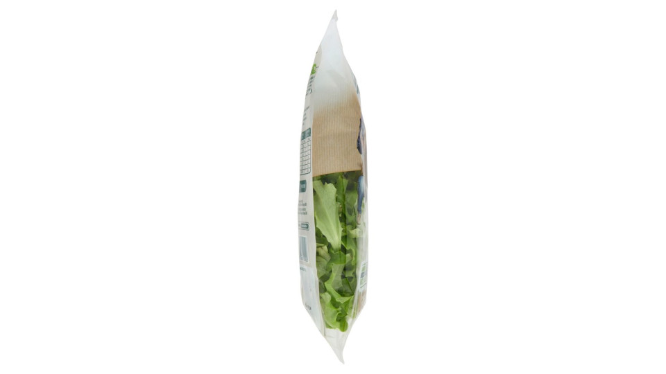 Bonduelle Lattughino