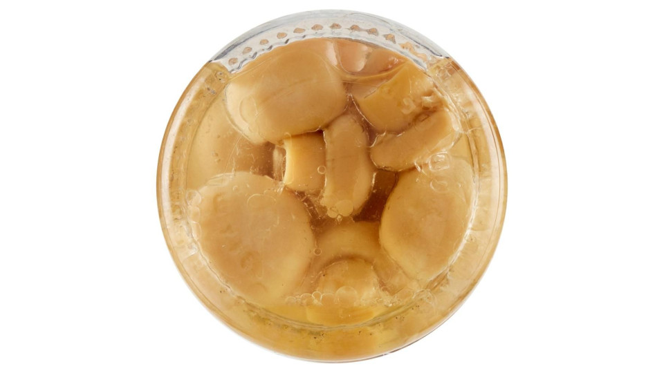 Sacla funghetti