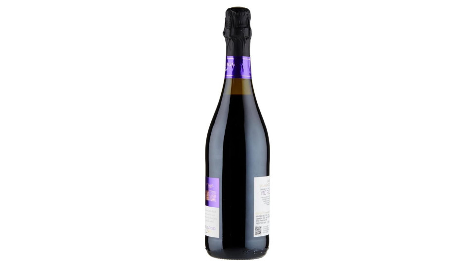 Civ&Civ Enologo Lambrusco Salamino di Santa Croce DOC Secco