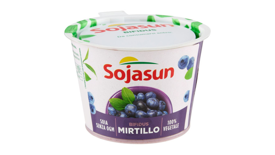 Sojasun Bifidus Pezzi di Frutta Mirtillo