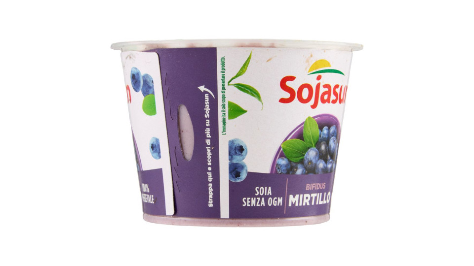 Sojasun Bifidus Pezzi di Frutta Mirtillo