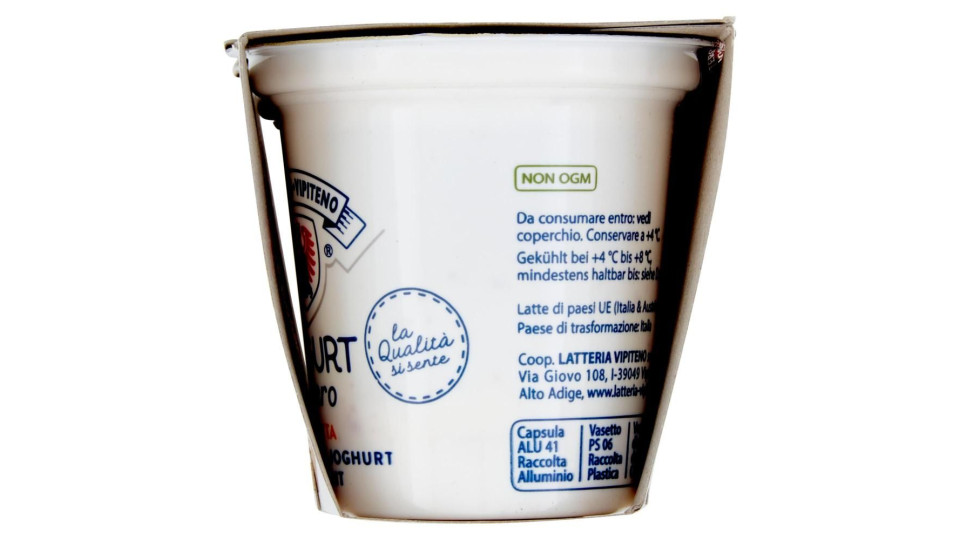 Sterzing Vipiteno Yogurt Frutta e Cereali