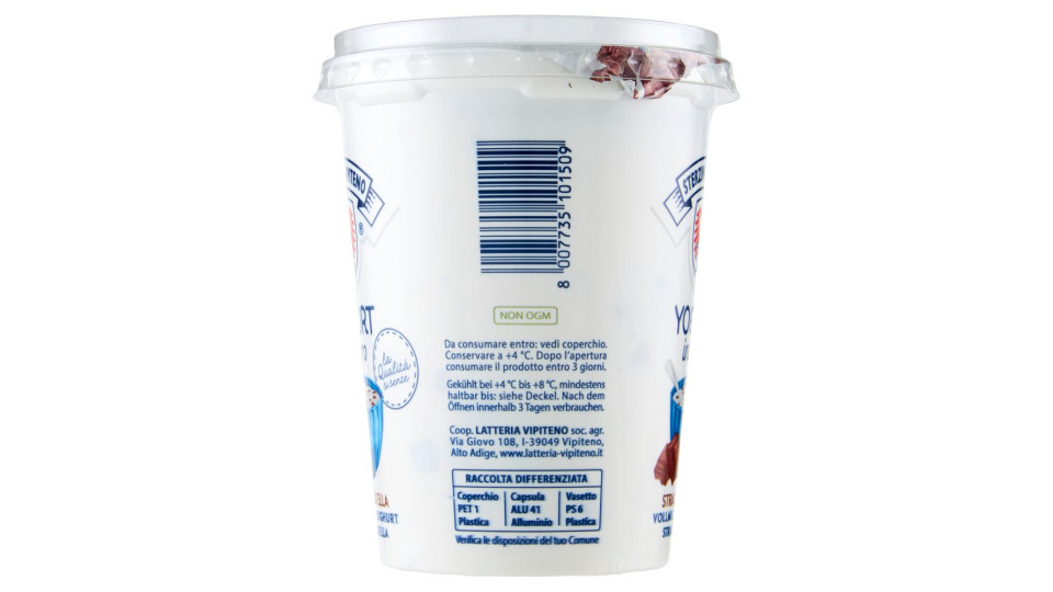 Sterzing Vipiteno Yogurt Stracciatella