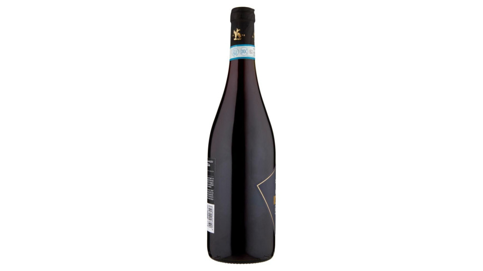 Sartori Valpolicella Ripasso Superiore Valdimezzo Doc