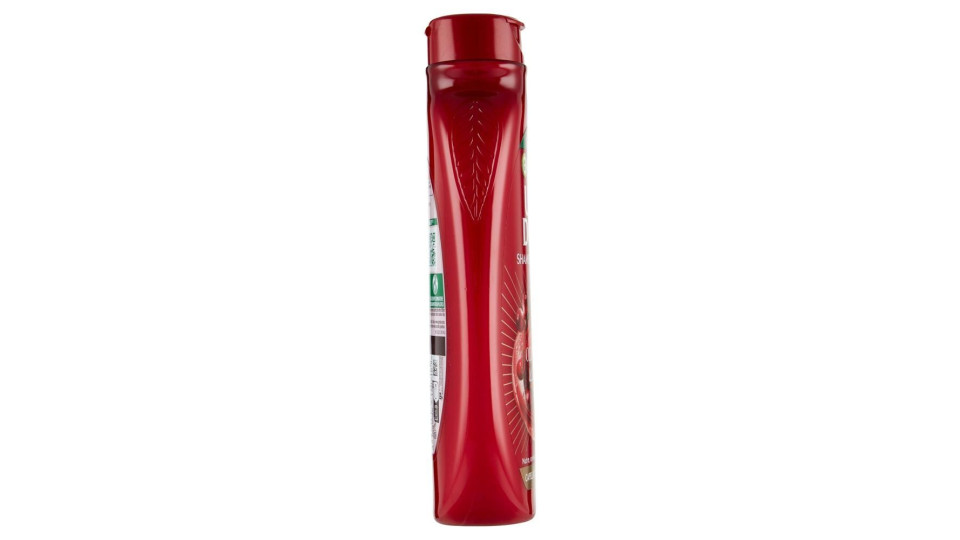 Garnier Ultra Dolce Shampoo all'olio d'argan e mirtillo rosso