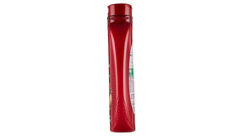 Garnier Ultra Dolce Shampoo all'olio d'argan e mirtillo rosso