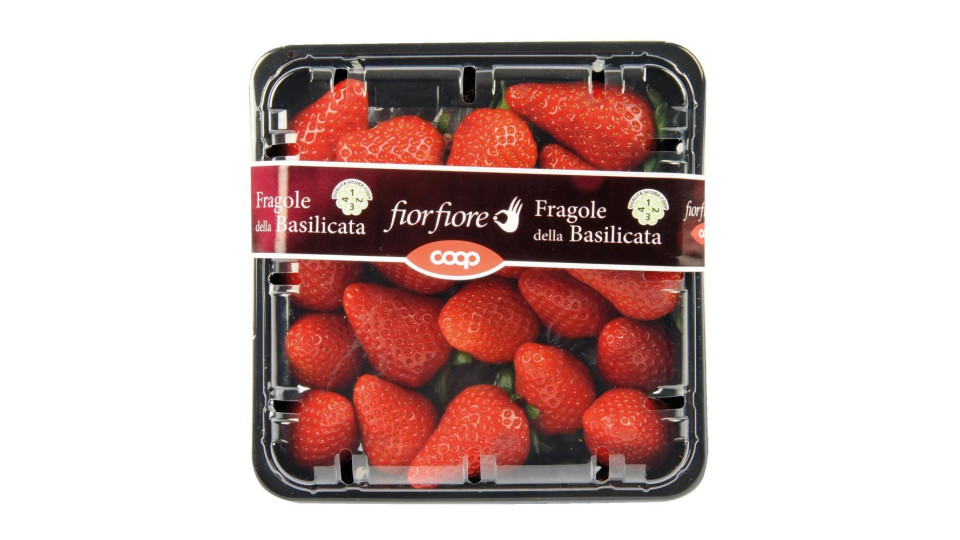 Fragole gr.
