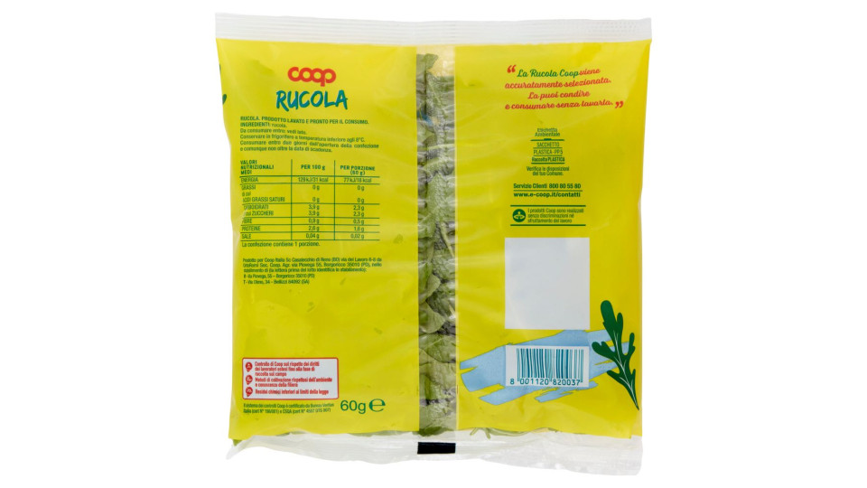 Rucola
