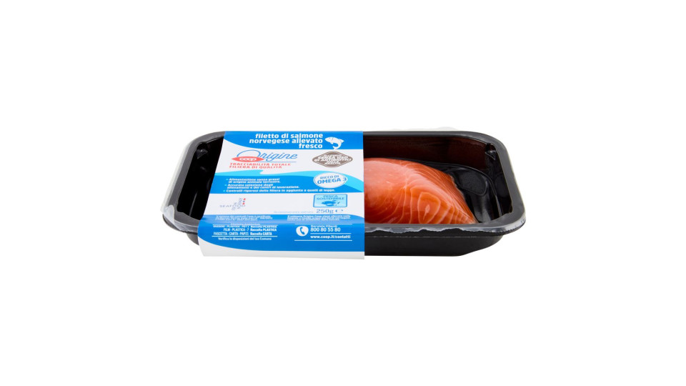 Filetto Di Salmone