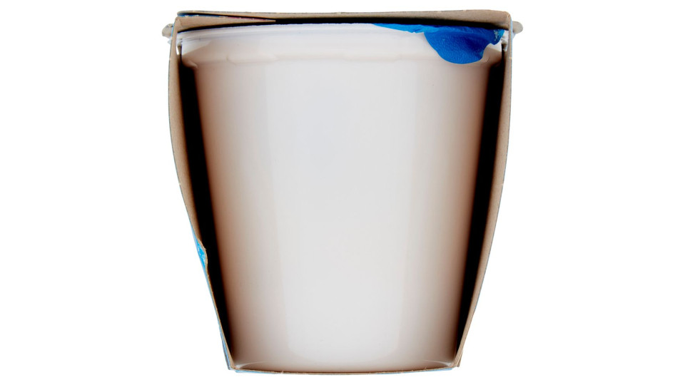 Yogurt Intero Alla Nocciola