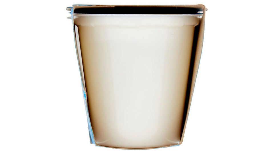 Yogurt Intero Alla Vaniglia