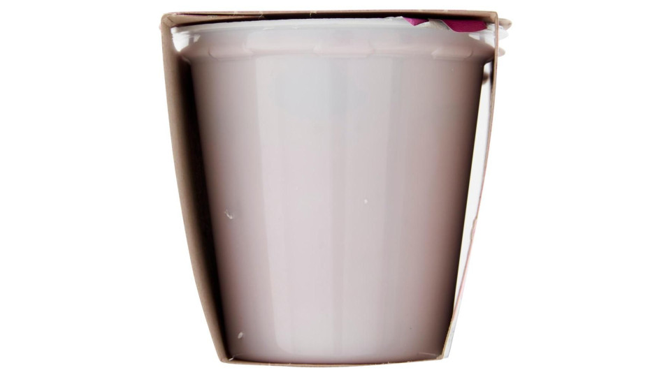 0% Di Grassi Yogurt Magro Bianco Naturale