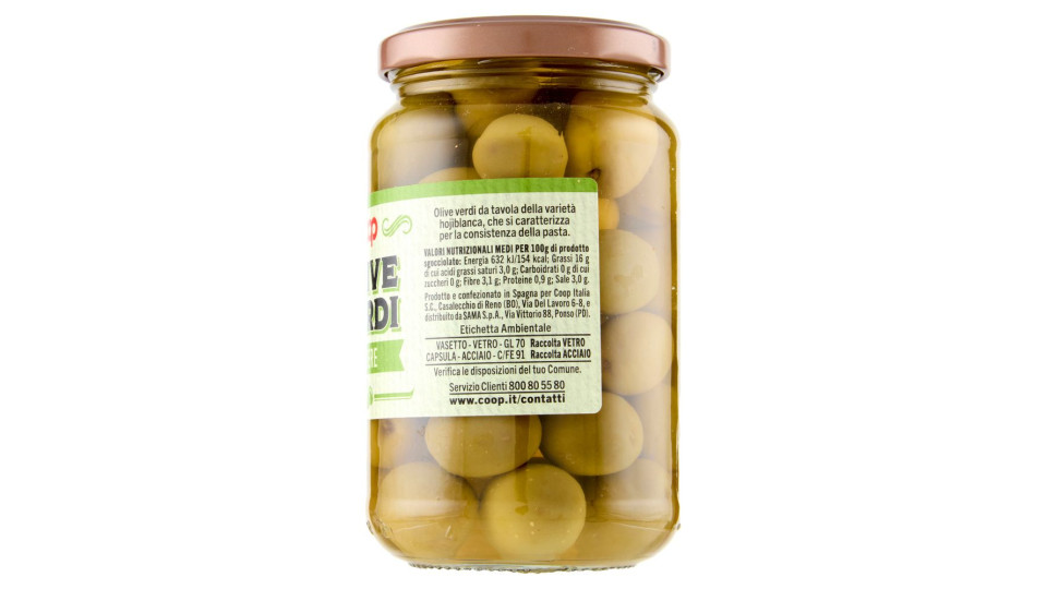 Olive Verdi Intere 360 G