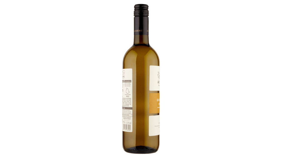 Spoletoducale Assieme Grechetto Umbria Igp