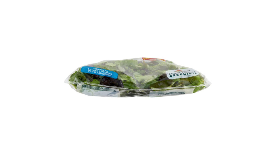 Bonduelle Le Tenere Insalatine