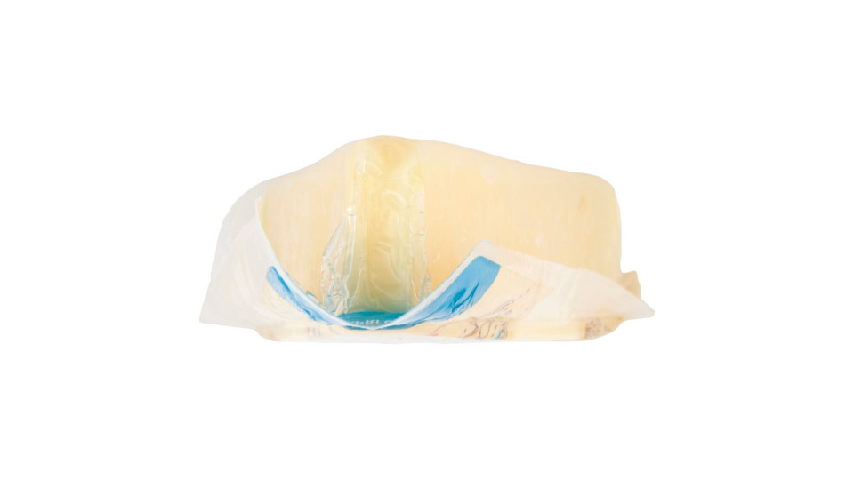 Pecorino Romano Dop
