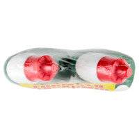 Disincrostante Gel 2 x 800 Ml