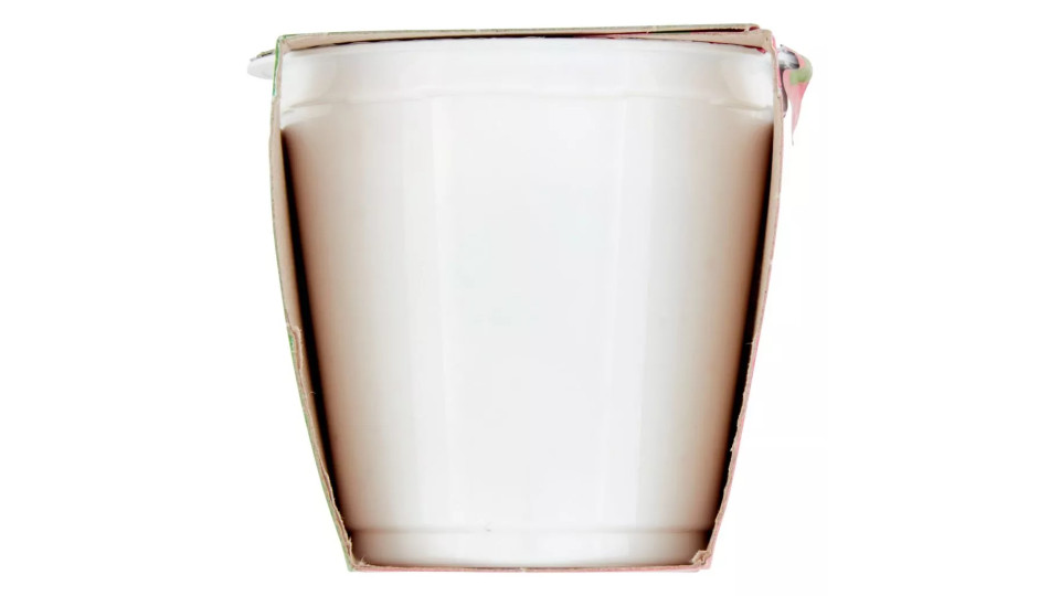 Probiotico con Kiwi e Cereali
