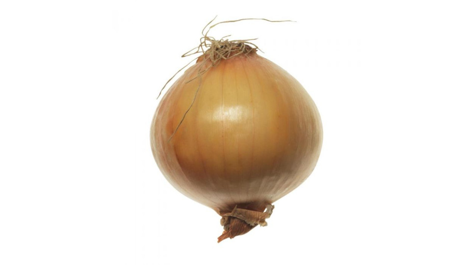 Condifresco Cipolla dorata