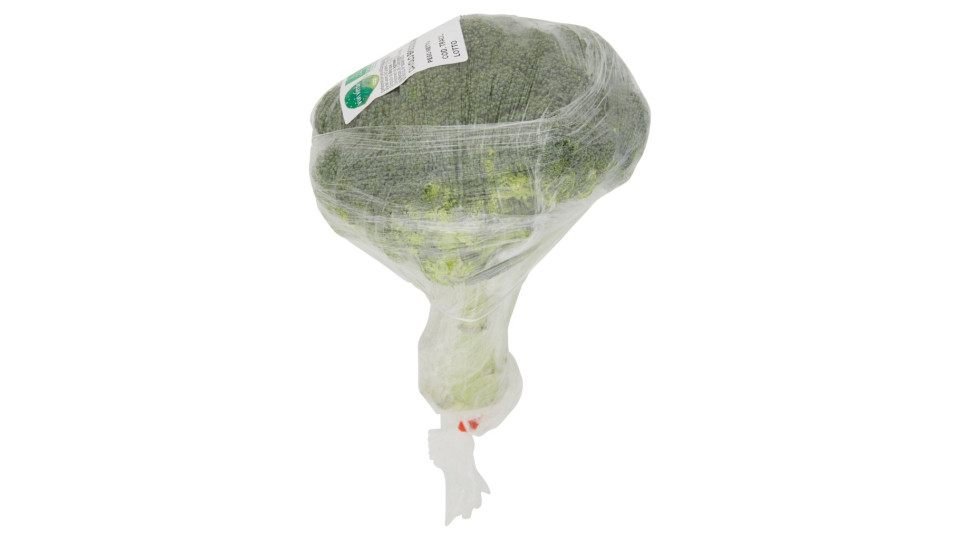 Cavolo Broccolo