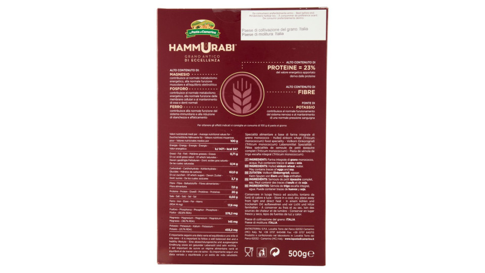 Hammurabi Tortiglioni