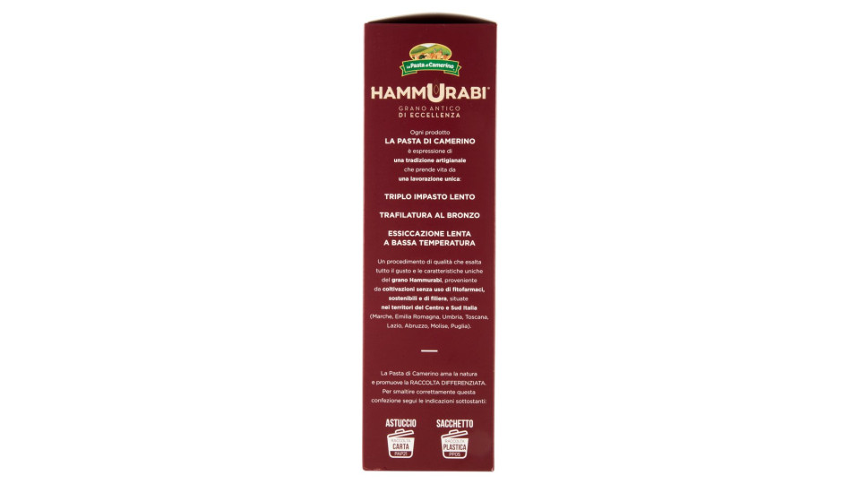 Hammurabi Tortiglioni