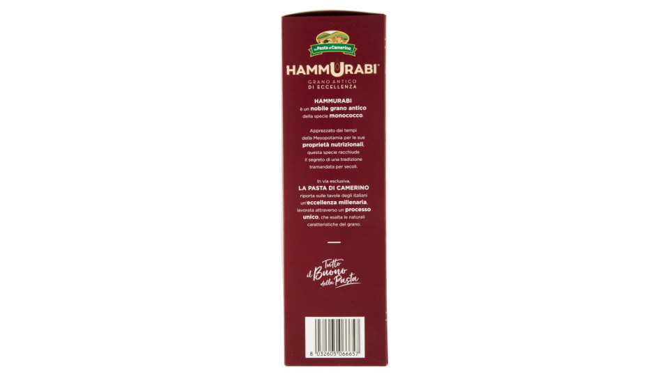 Hammurabi Tortiglioni
