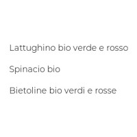 Insalata Mista Orientale Bio