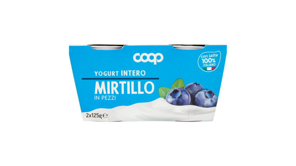 Yogurt Intero Con Mirtilli In Pezzi