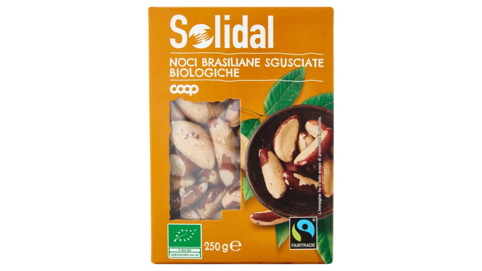 Noci Brasiliane Sgusciate