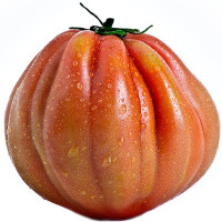 Pomodori Cuore di Bue