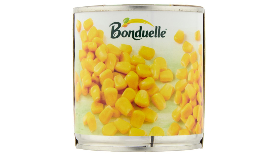 Il V.G.Bio, Mais Bio
