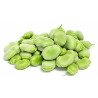 Fave Fresche Italia