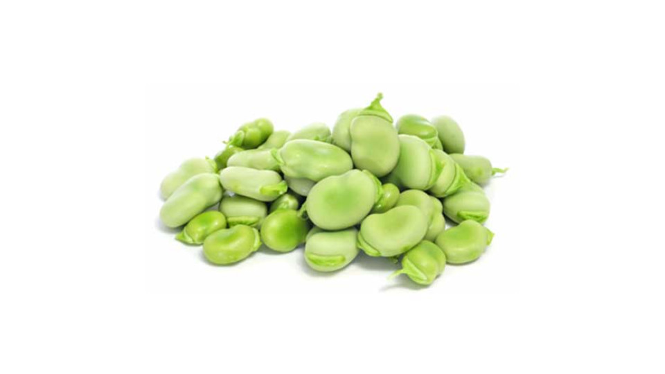 Fave Fresche