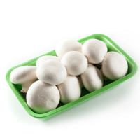 Funghi Champignon Medi Italia