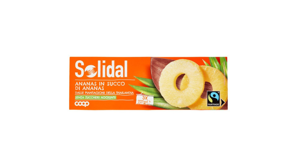 Ananas in Succo di Ananas
