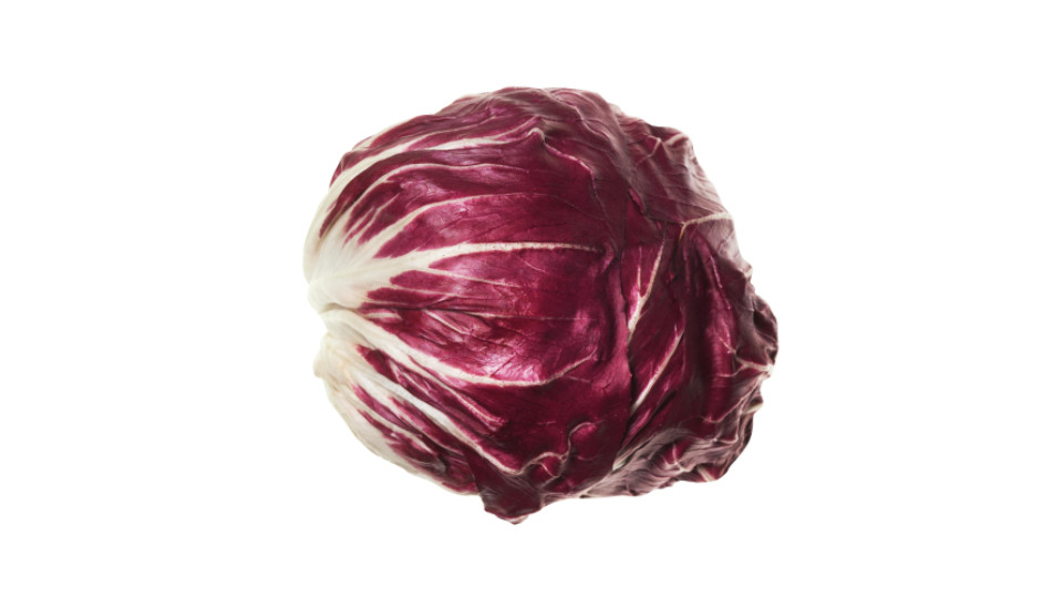 radicchio rosso tondo extra